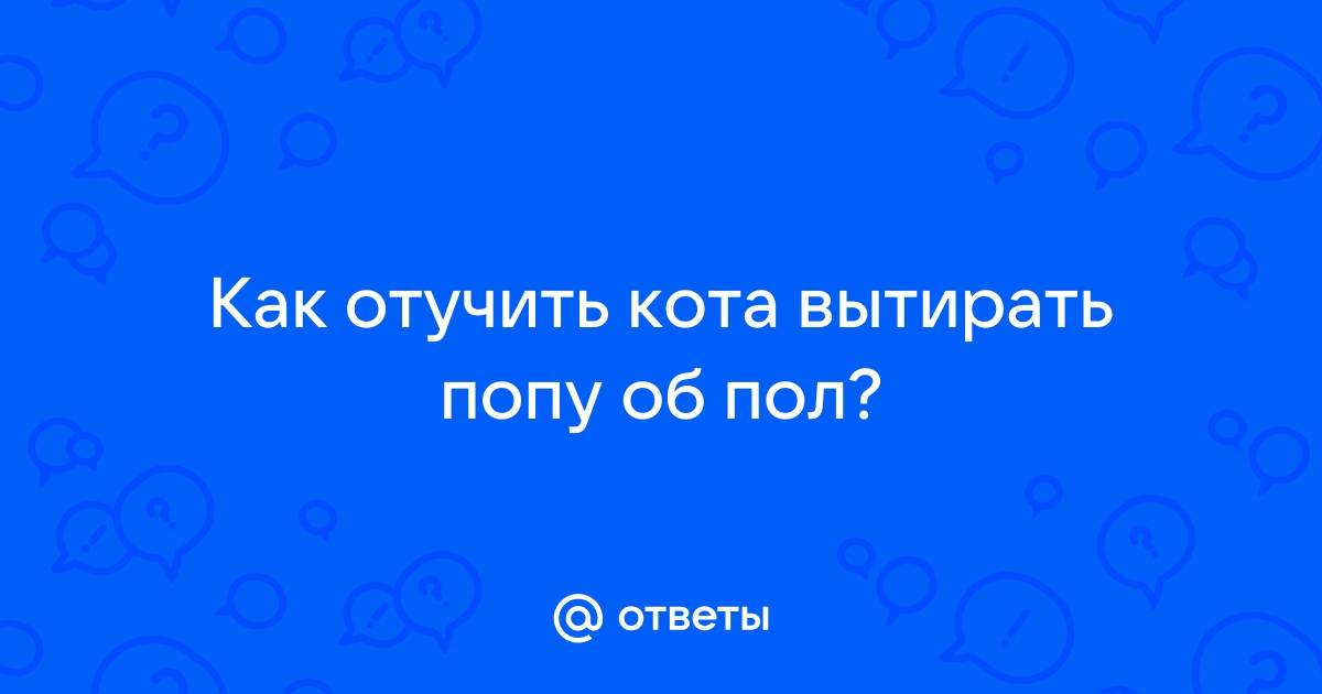 Как отучить кота вытирать попу об пол после туалета