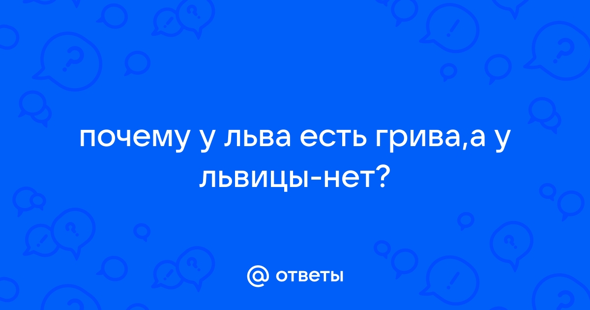 Зачем львам грива?