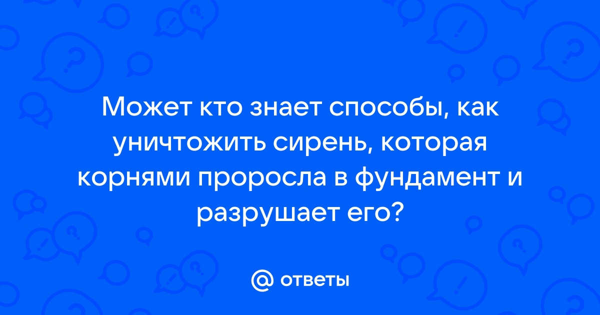 Как избавиться от корней сирени в доме и фундаменте