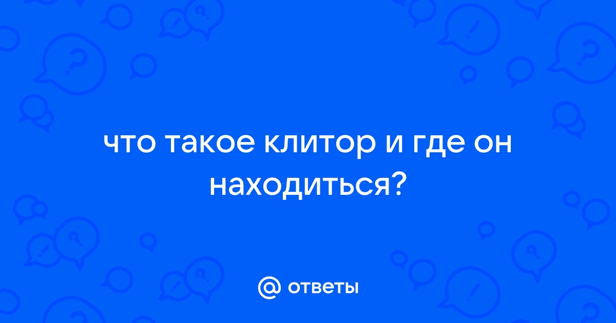 Анатомия женских половых органов - Медицинский центр в Томске «Мульти Клиник»