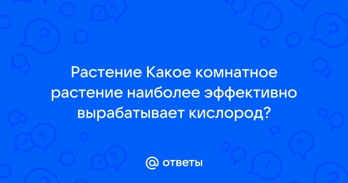 В современных панельных домах из железобетона влажность воздуха гораздо ниже нормы