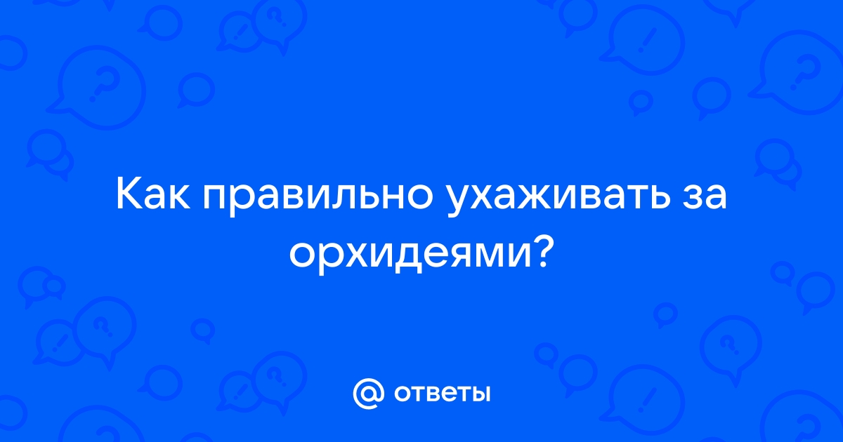 Почему закрыли проект ждули