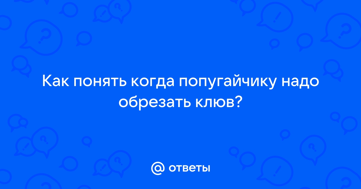 Подрезка клюва - Домашнее содержание голубей - Форумы розаветров-воронеж.рф - все о птицах