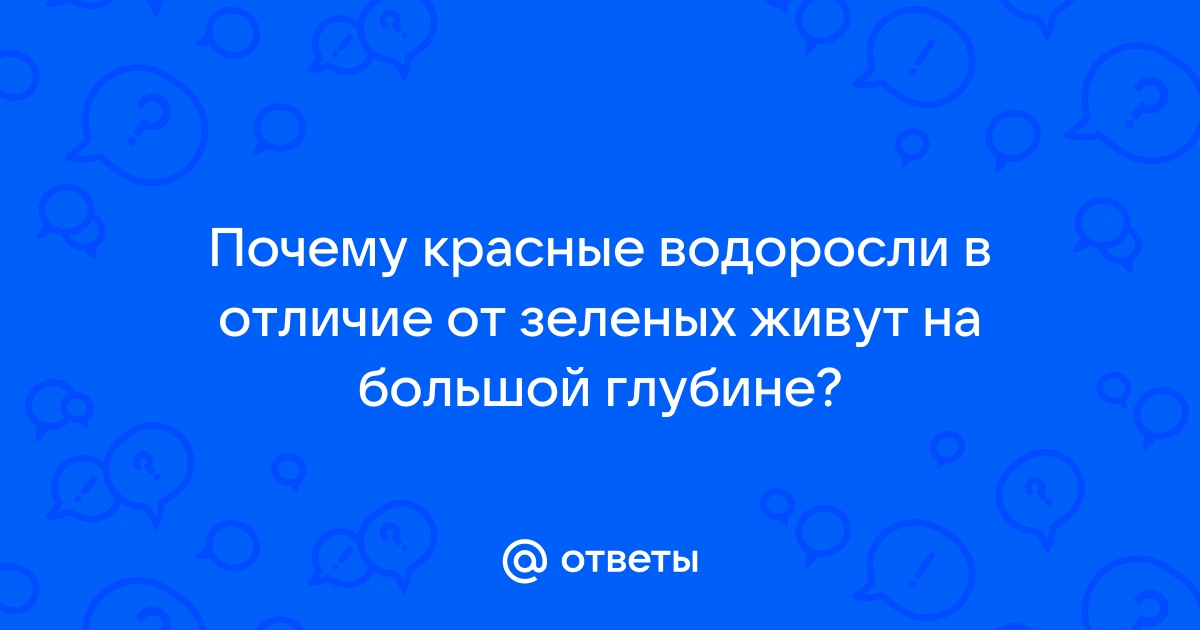 Почему зеленых пикселей больше