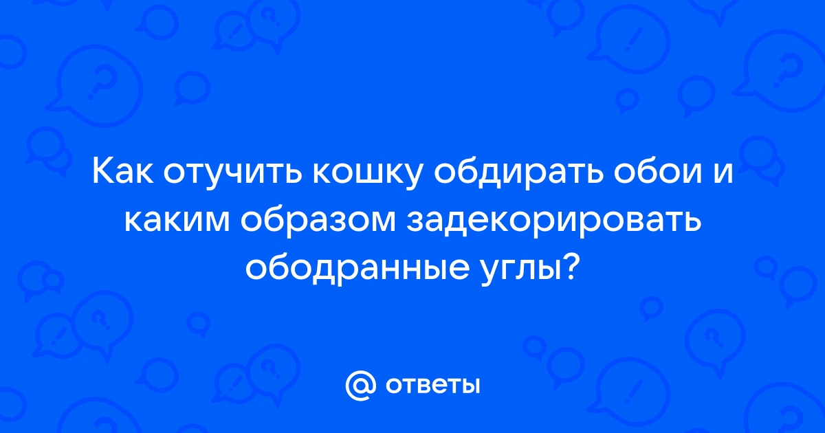 Чем задекорировать обои ободранные котом