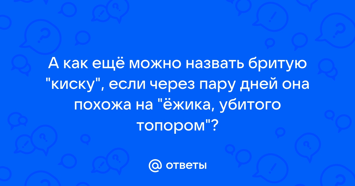 К чему снятся волосы: толкование снов про волосы