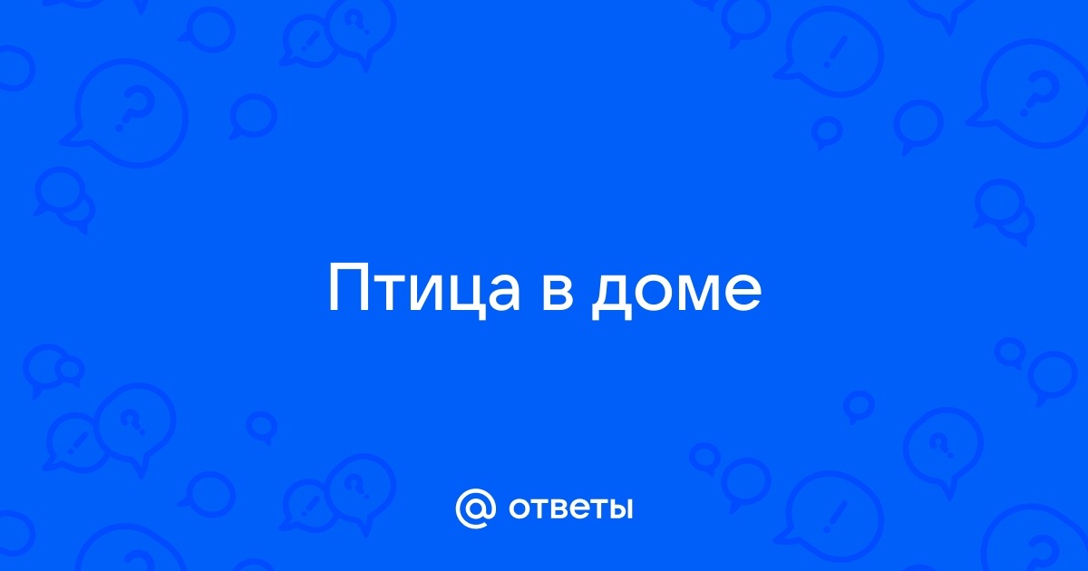 Обычаи, традиции, приметы и т.д. - Страница 9 - Полезное - Форум