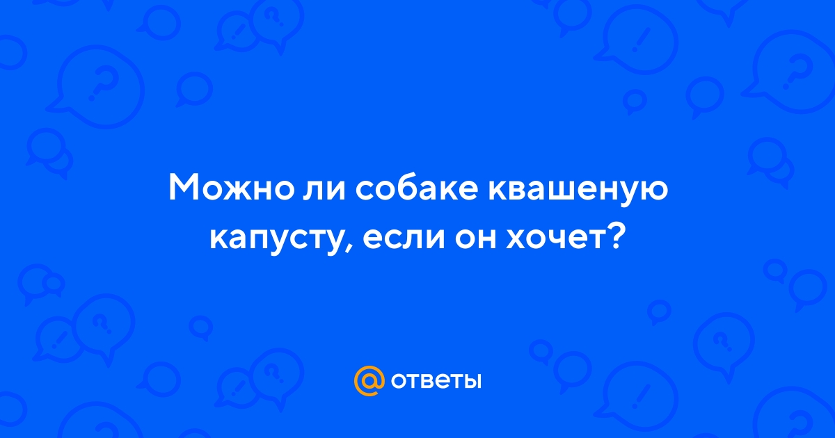 Ответы Mail.ru: Можно ли собаке квашеную капусту, если он хочет?