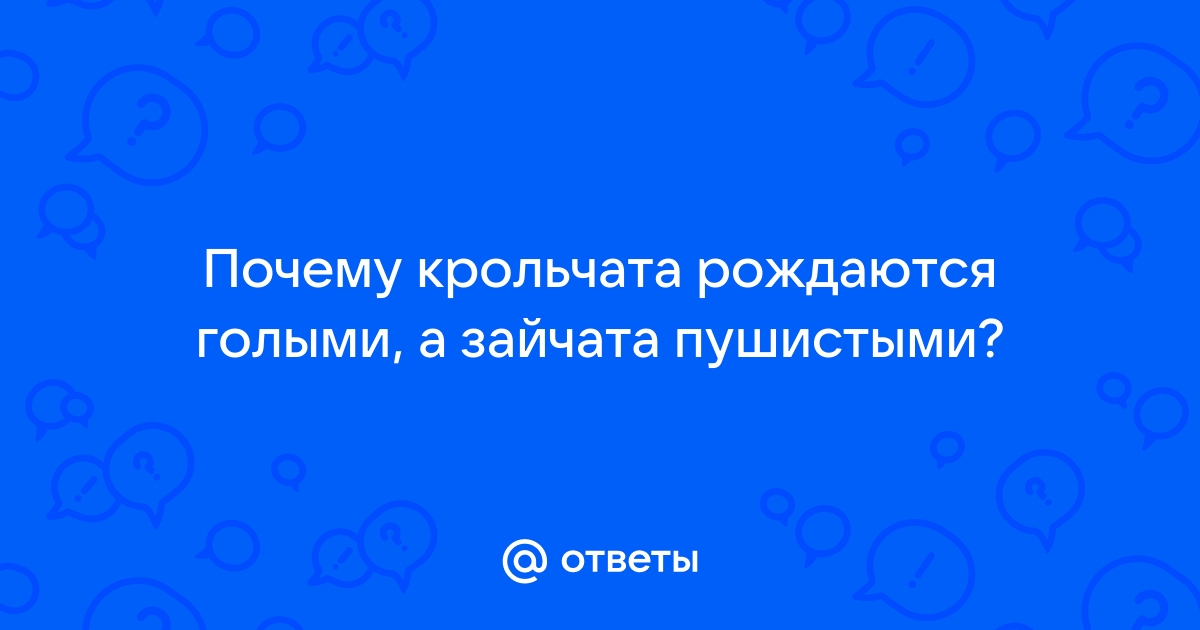 Слепыми или зрячими рождаются зайцы: как выглядят листопадники