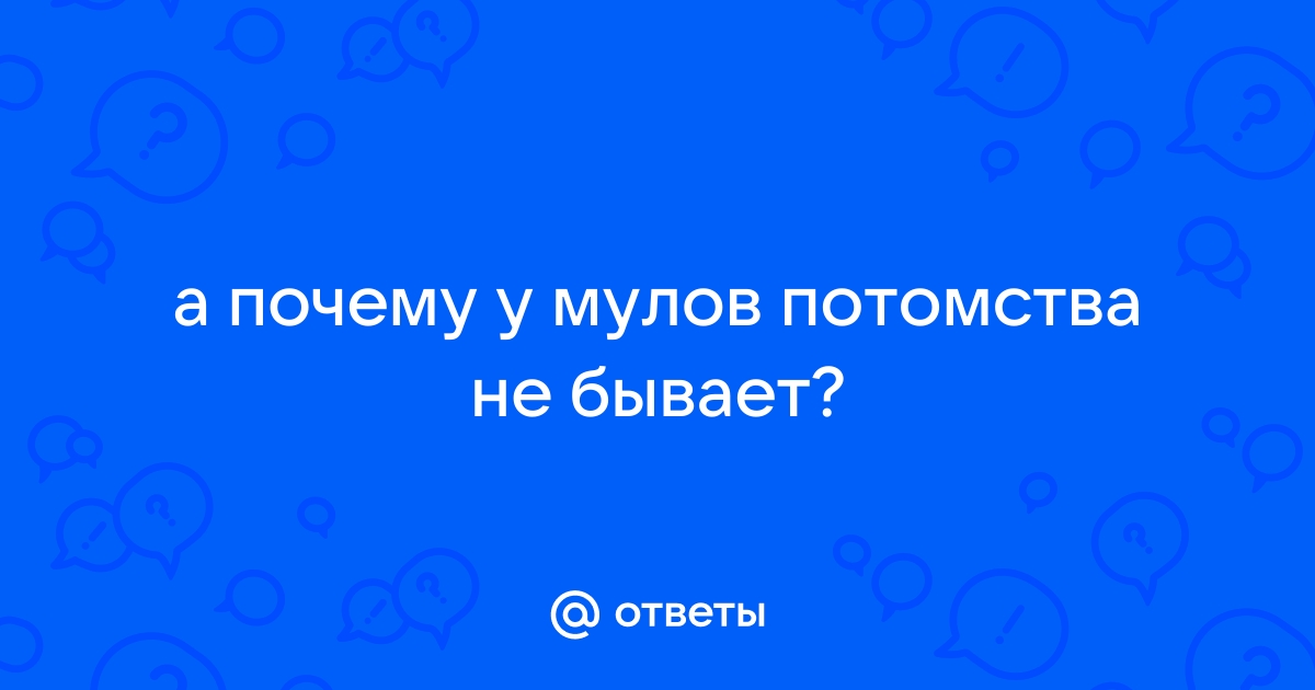 Перепихон по-султански: практические советы из османской камасутры - WAS