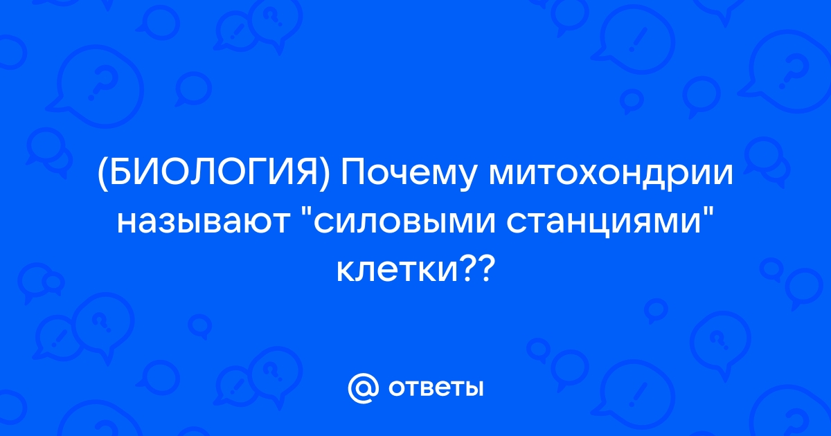 Ошибка в вопросе | Что? Где? Когда?.