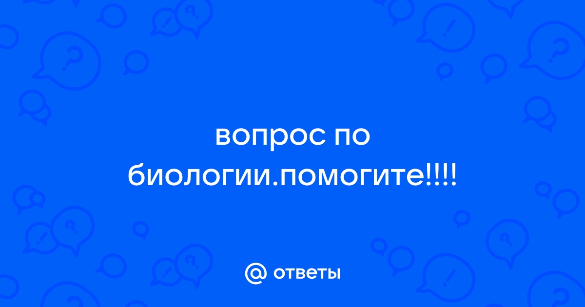 Рассмотри изображение устьиц и ответь на вопросы