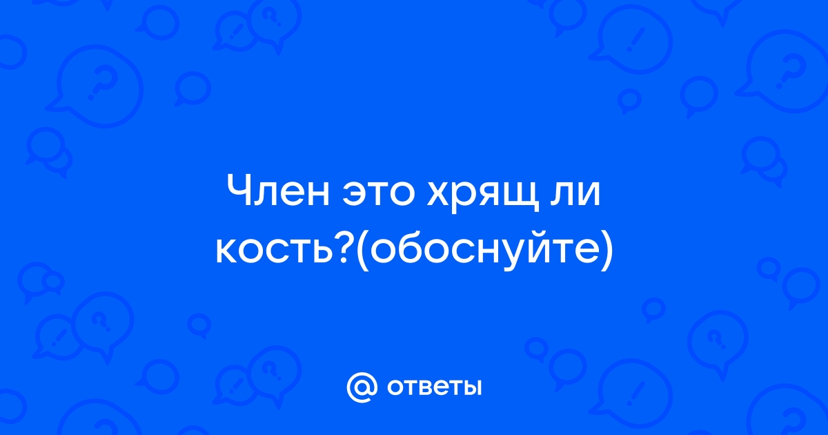 Почему у мужчин нет кости в члене? Отвечают Отвратительные мужики