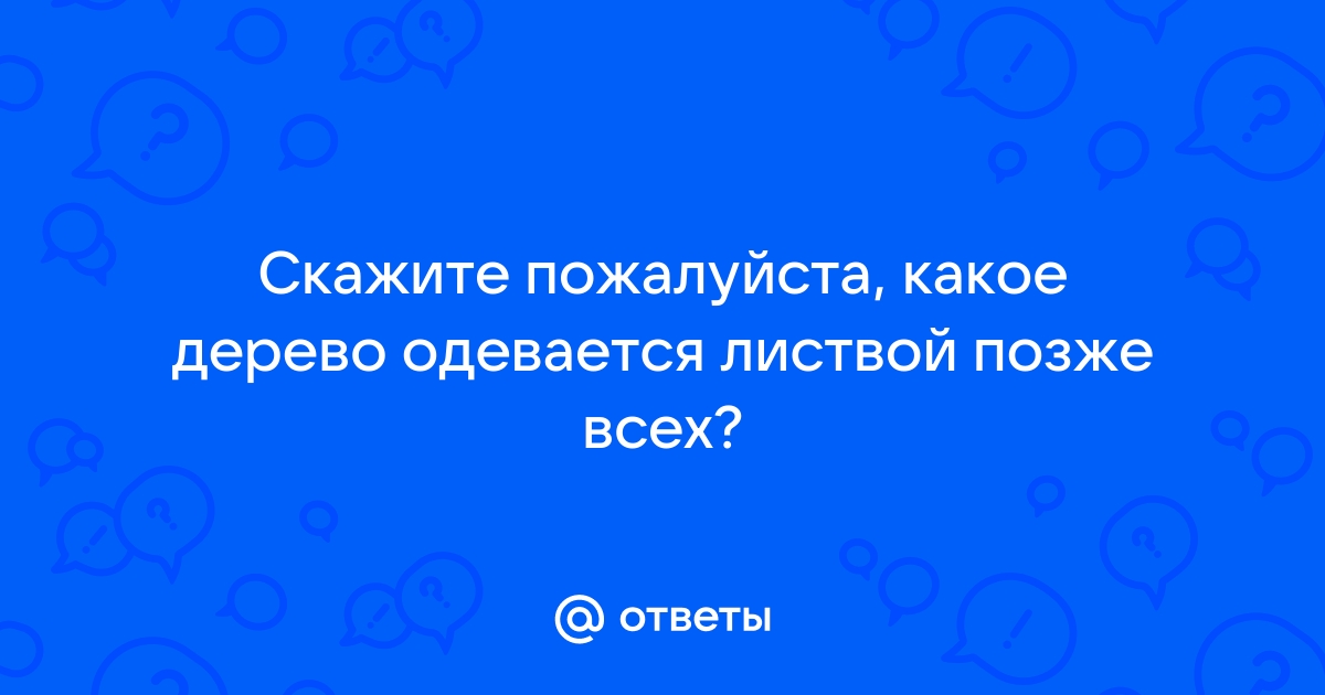 Деревья и авто одели в свитера – нетрадиционная жизнь старого доброго рукоделия