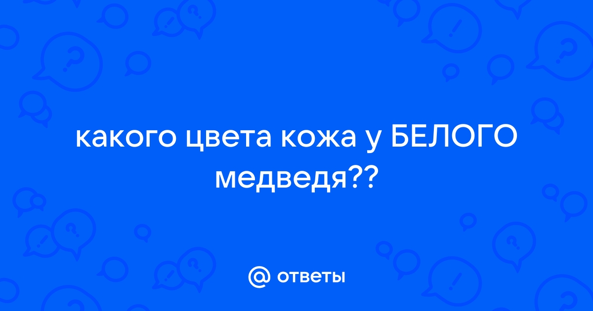 Кожа у белого медведя какого цвета под шерстью фото