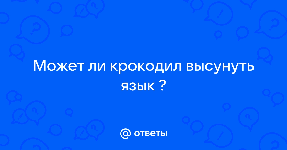 В гости к крокодилам - Все о городском отдыхе в Голубицкой в статьях