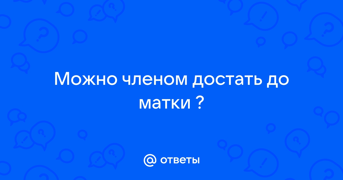 Удаление матки у собаки