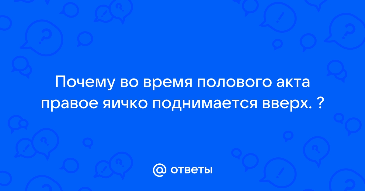 Яички стали подниматься вверх