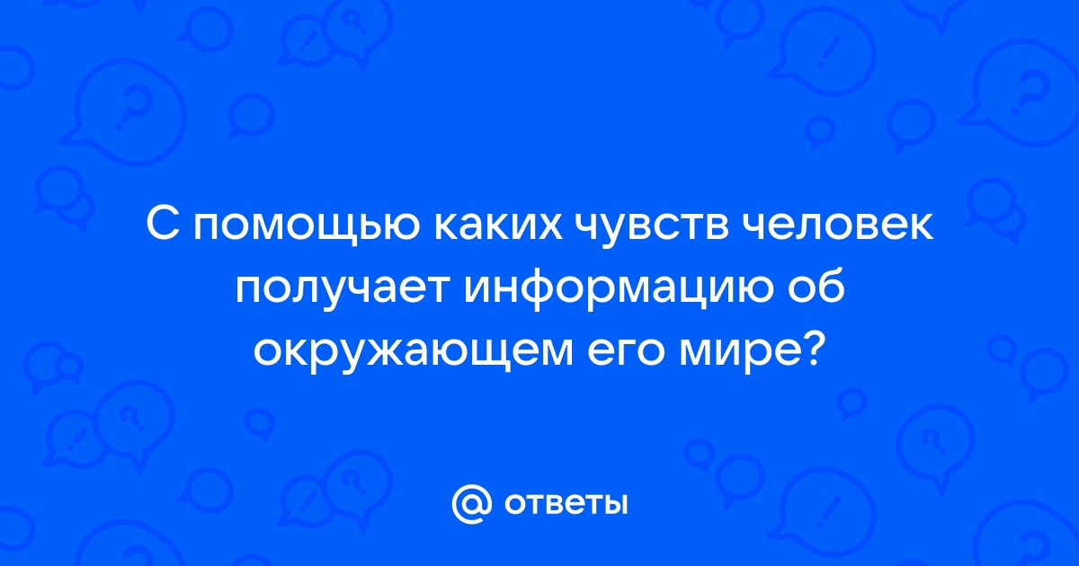 С помощью каких файлов сайты запоминают информацию о ваших посещениях