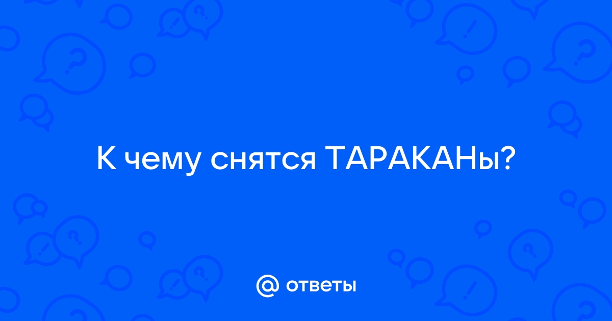 Мы расскажем об К чему снятся тараканы с четверга на пятницу