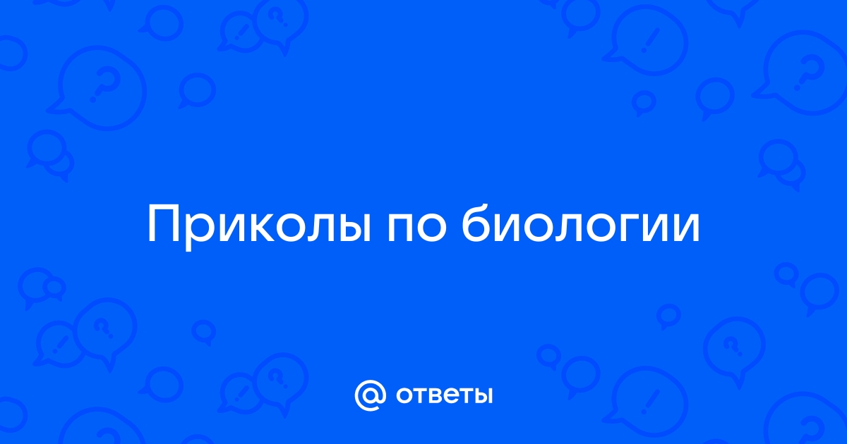 kocumaf прикольные сценки про урок биологии и химии