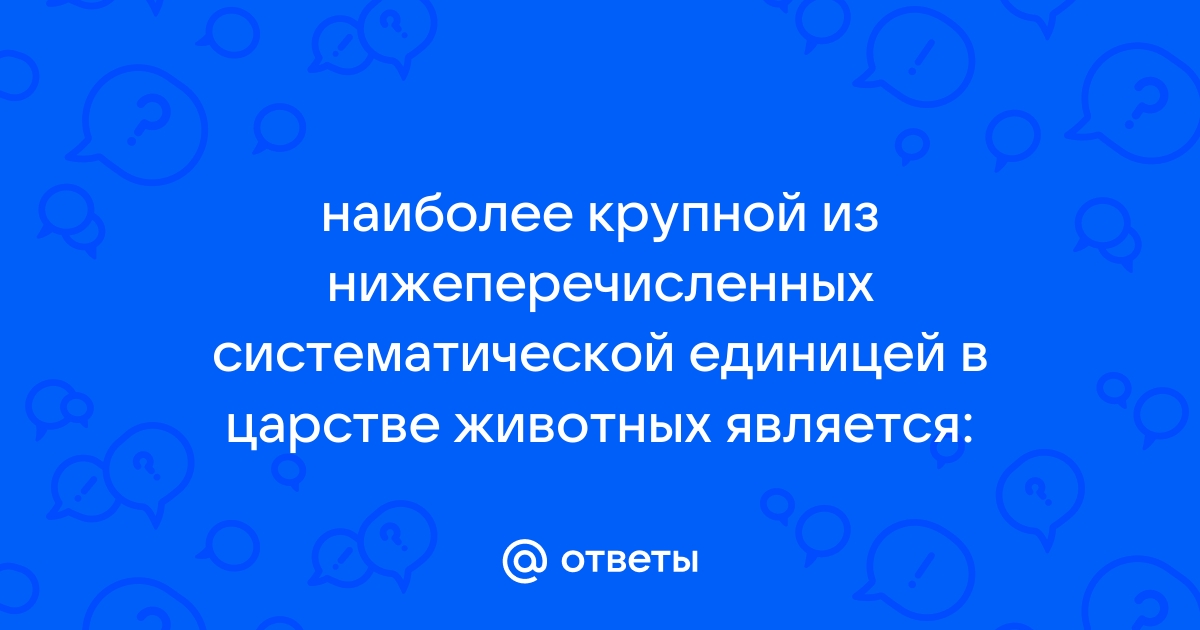 Какой из нижеперечисленных форматов файлов является векторным ipeg mwf gif png