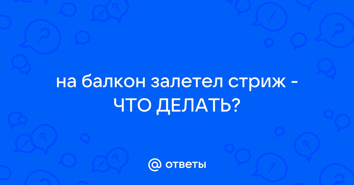 Стриж упал на балкон что делать