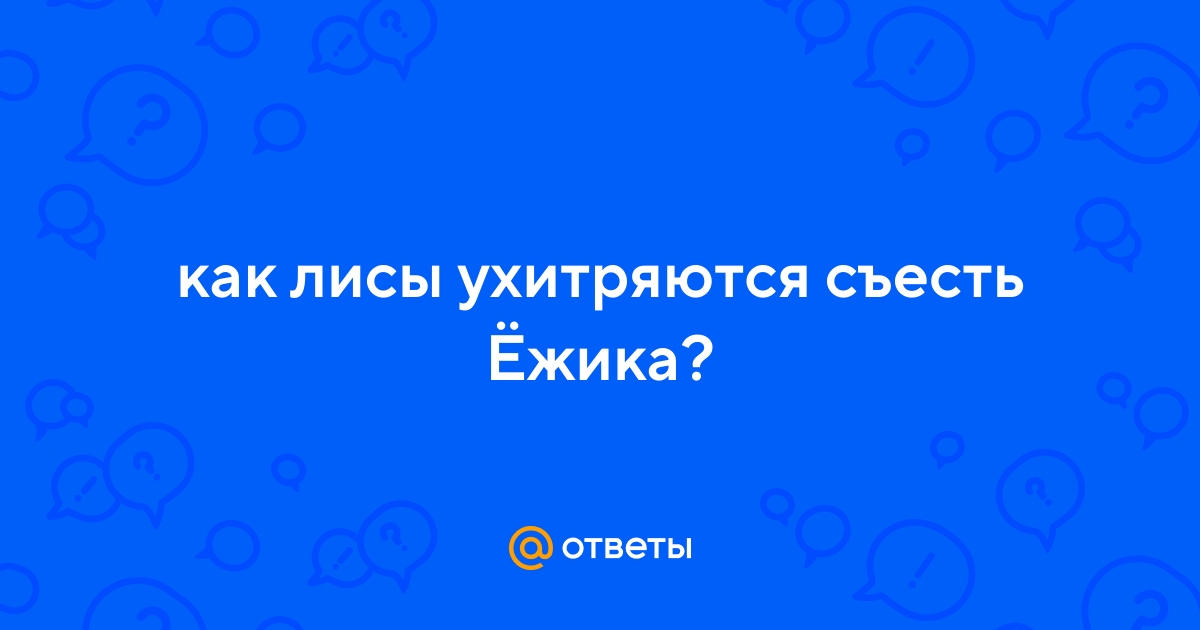 Ответы Mail.ru: как лисы ухитряются съесть Ёжика?