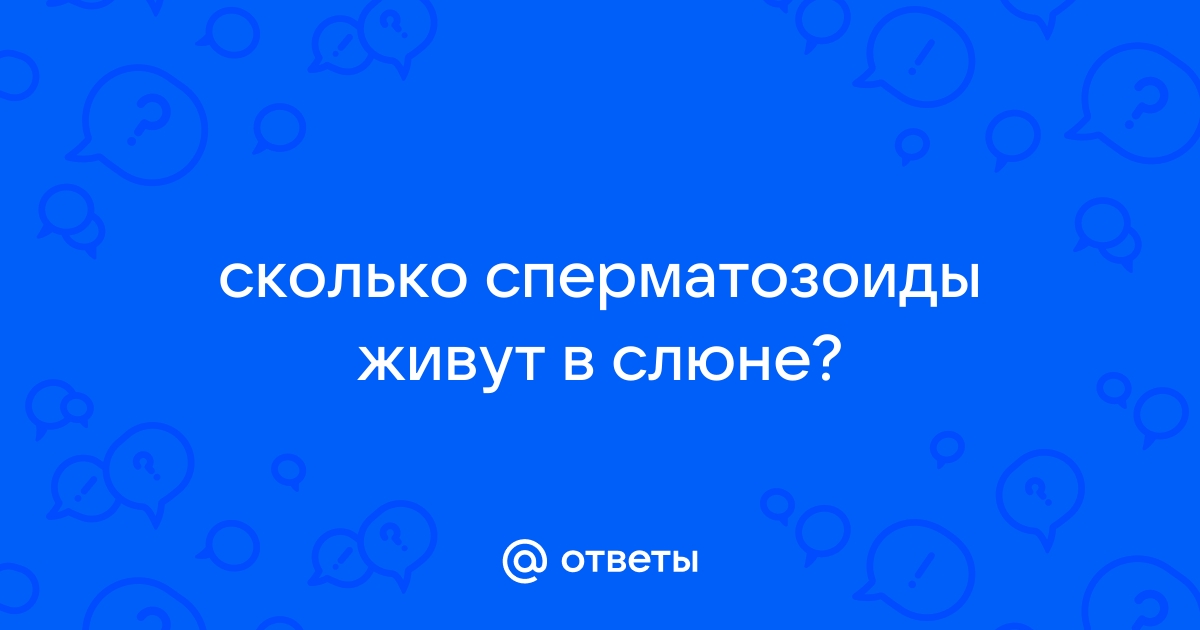 Сколько дней сперматозоиды остаются активны в полости матки?