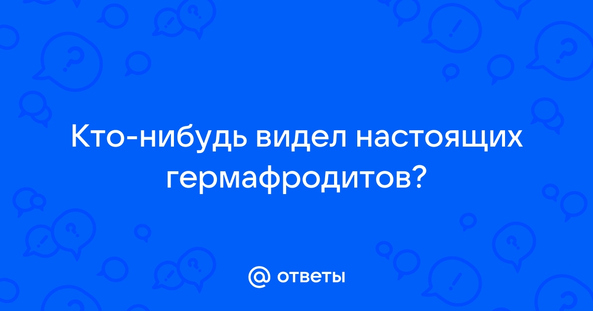 Гермафродитизм у двух собак – патологическое и цитогенетическое исследование