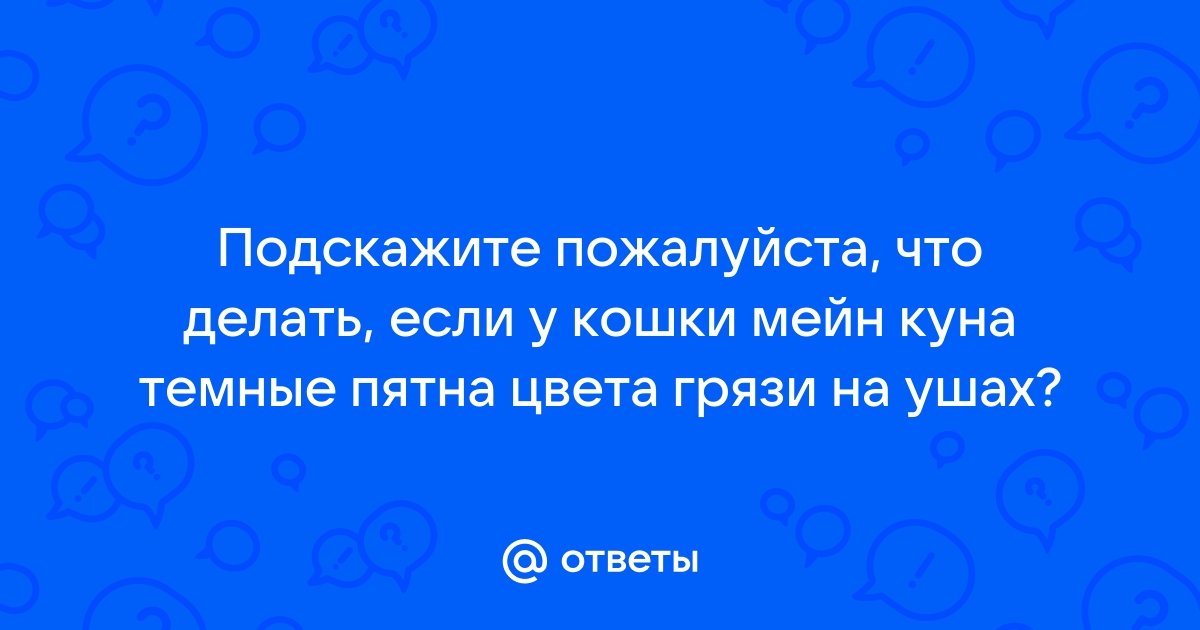 Стул у мейн кунов