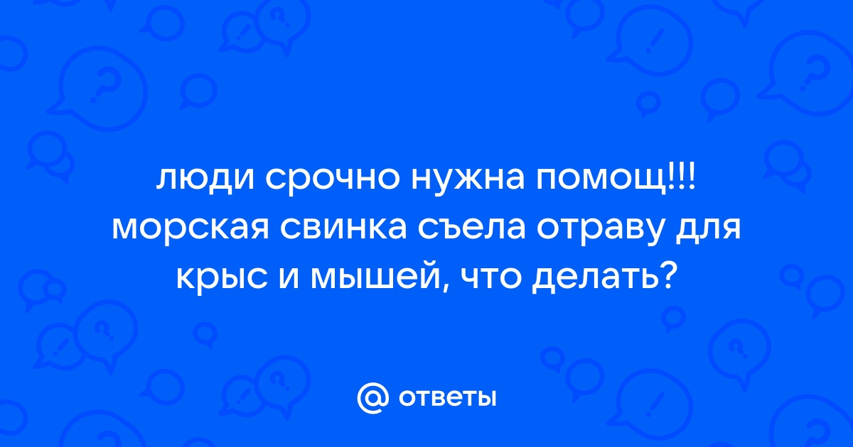 Опасность применения отравы от мышей и крыс