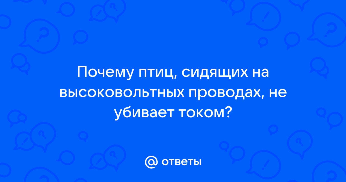 Ответы ntvplus-taganrog.ru: Почему птиц, сидящих н проводах не убивает током?