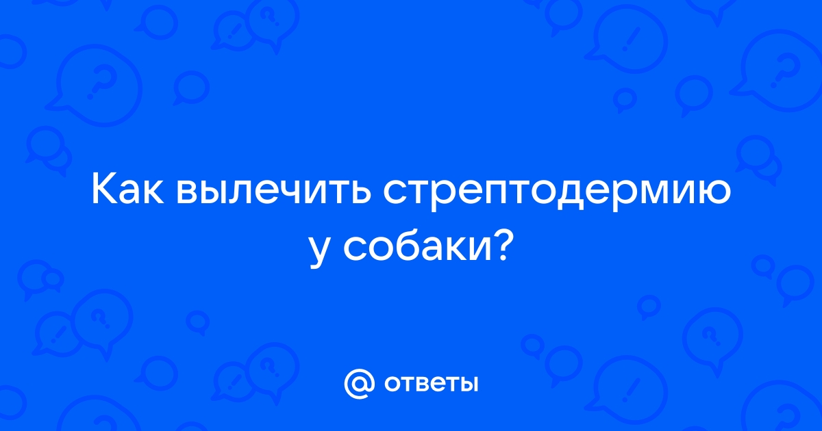 Помогите поставить диагноз собаке. - Форум