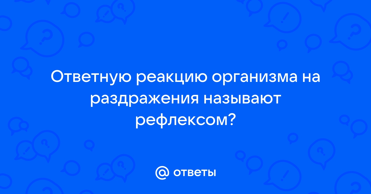 Она раздражает называет песня