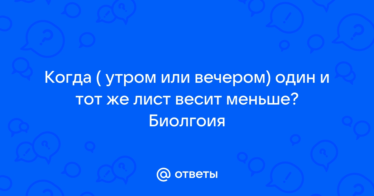 На сколько можно похудеть за месяц: диеты, физическая активность и забота о здоровье