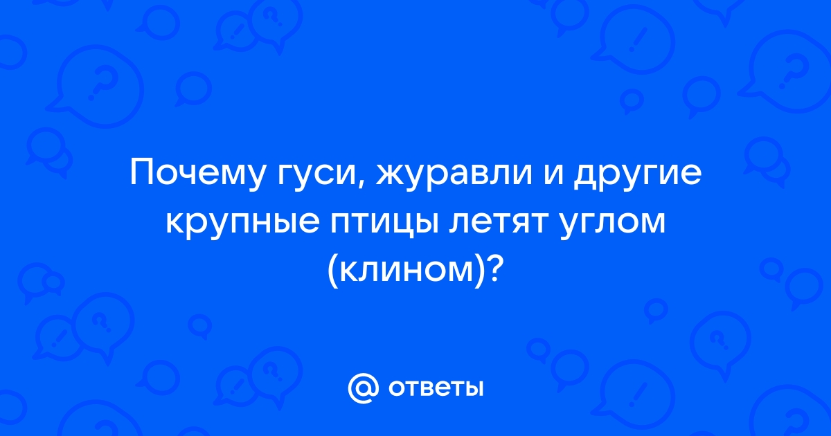 Гусь заговорил о чем то быстро горячо отчетливо но непонятно схема предложения