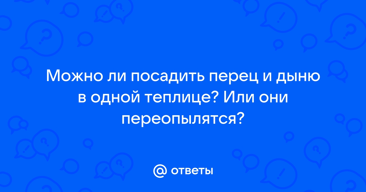 Могут ли посадить за сообщения в телеграм