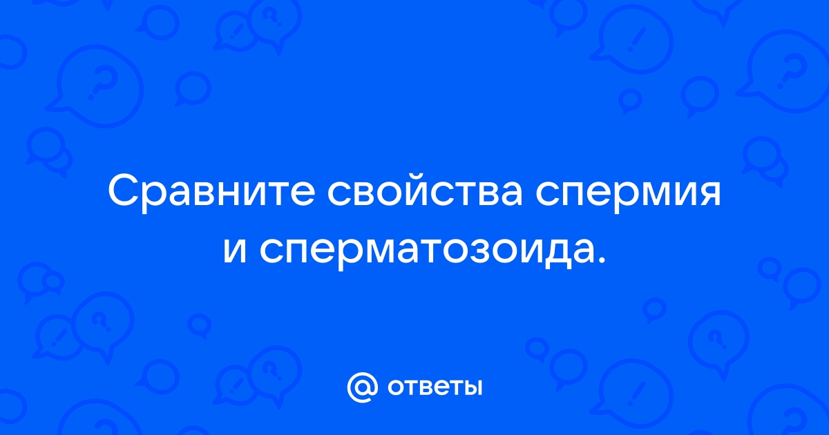 Вы точно человек?