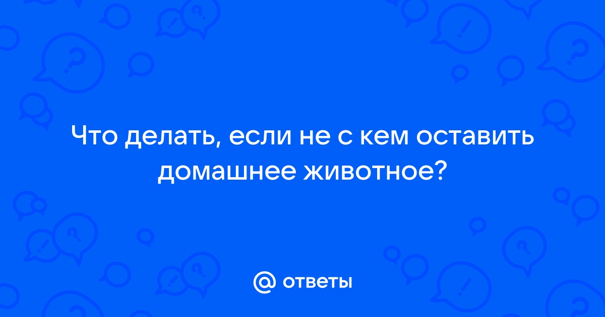 Домашняя передержка животных: стоит ли доверить собаку? — Парламентская газета «Тюменские известия»