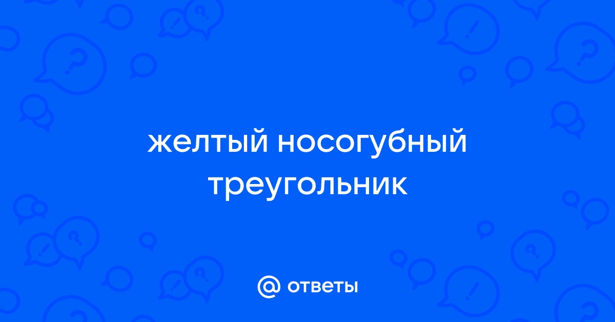 Треугольник смерти или где нельзя давать прыщи