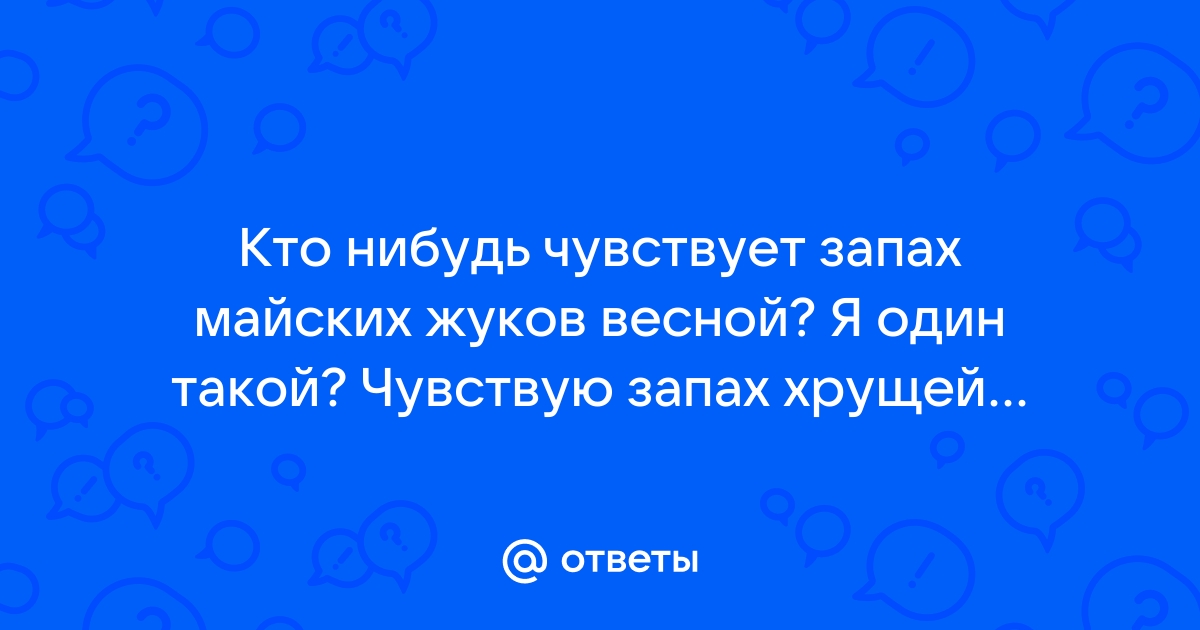 Картинка чувствуете запах каникул