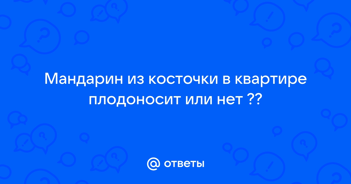 Как вырастить мандарин из косточки в домашних условиях на подоконнике | myDecor