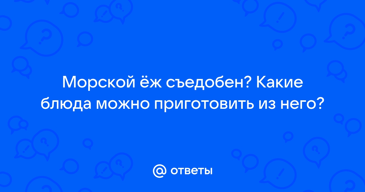 Купить плоский морской ёж по низкой цене с доставкой по России от компании 