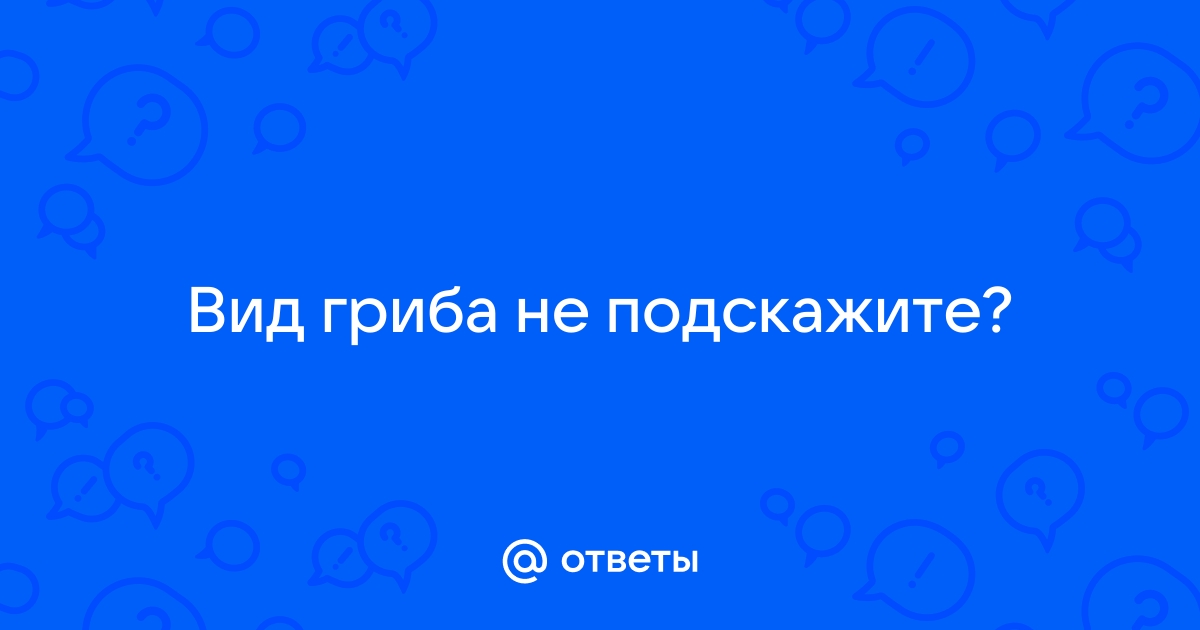 Как узнать что за гриб по фото онлайн бесплатно без регистрации и смс