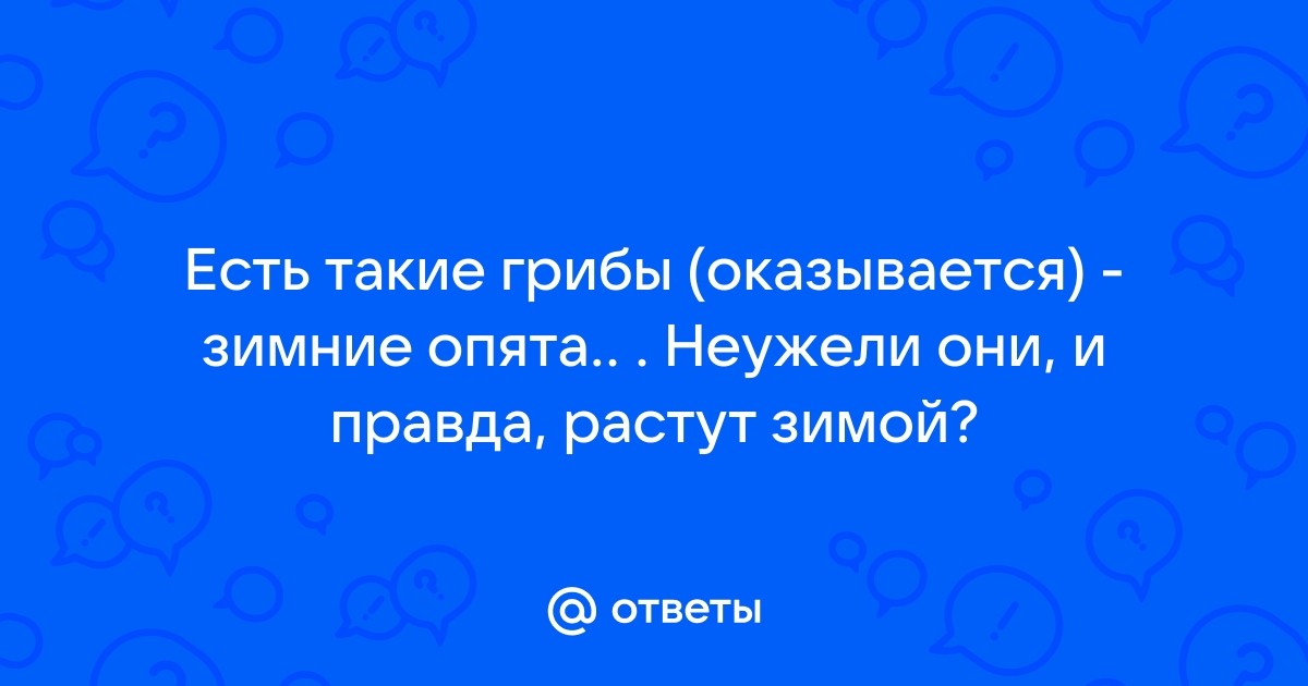 Никита каждый день набирал по 6 килограмм белых грибов