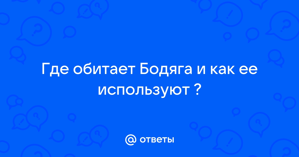 Как правильно называется бардачок