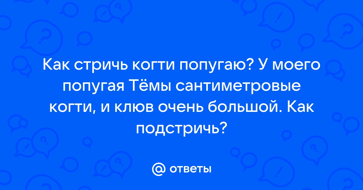 Почему растет клюв у волнистого попугая:)