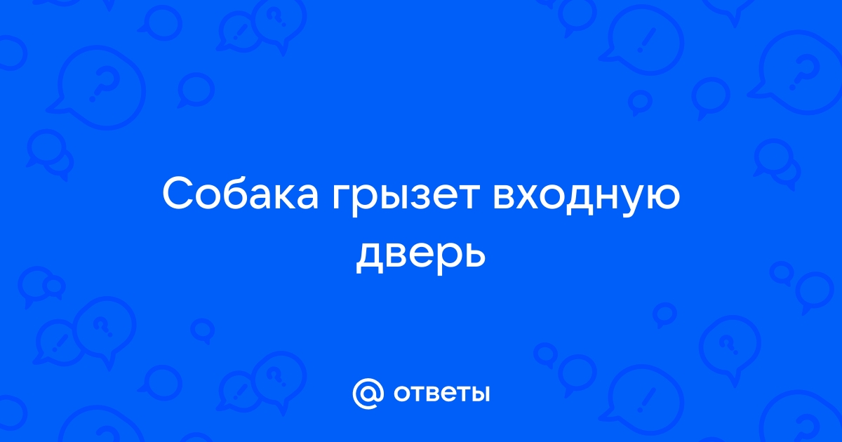 Собака грызет входную дверь что делать