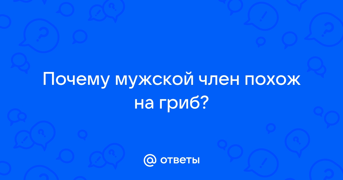 Краснокнижный собачий пенис нашли в сибирском лесу